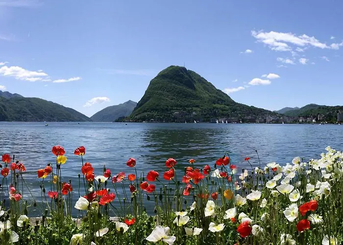 Prestige By Quokka 360 - Spacious Flats With Terraces アパート