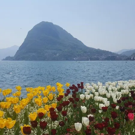 Apartment Prestige By Quokka 360 - Spacious Flats With Terraces Lugano